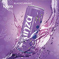 Kinza Blackcurrant